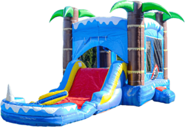 Shark Combo Shark Combo